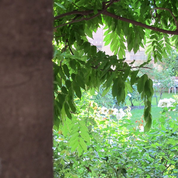 La maison de Sophie - Son magnifique jardin - Maison d'hôtes à Nîmes