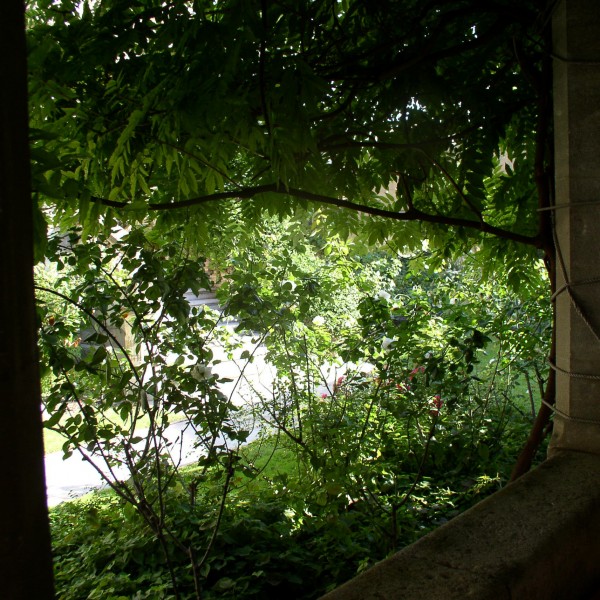 La maison de Sophie - Son magnifique jardin - Maison d'hôtes à Nîmes